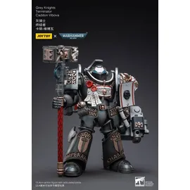 Warhammer Grey Knights Terminator Caddon Vibova 13 cm
