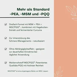 Pharmatura GmbH & Co. KG AuraNatura Fermentura Doloferm 60 st