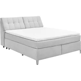 Set One by Musterring Boxspringbett Fairfield 160 x 200 cm Stoff Dove