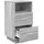 vidaXL Nachtschrank mit 2 Schubladen 36 x 36 x 68 cm Grau