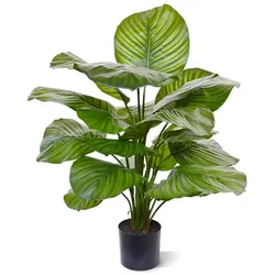 HSM Collection Kunstpflanze Greens Calathea, Ø 50, Höhe 70 cm