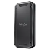 SanDisk PRO-G40 4 TB Thunderbolt 3 Schwarz