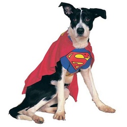 Rubie ́s Hundekostüm Superman Hundekostüm, Original Superman Kostüm für Deinen Vierbeiner blau XL / Husky