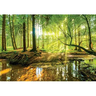 Forwall - Vlies Fototapete Wald Bach Sonne grün Natur Bäume Landschaft 3D 520x318 cm - Fototapeten - Tapeten - für Wohnzimmer Schlafzimmer - Vliestapete Wandtapete Tapete 3D Effekt- inkl. Kleister