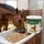 panto® Pferdemineral mit Wisan-Lein 7,5 kg