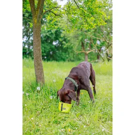 Nobby Reisenapf Rio neongrün 500 ml