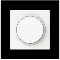 Busch-Jaeger Zentralscheibe Dimmer m