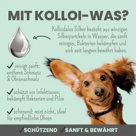 noms+ Ohrfein Reinigung & Pflege mit kolloidalem Silber