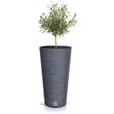 Spetebo Blumentopf 58 x 30 cm Anthrazit