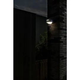 Lutec Außenwandleuchte Aluminium 5 x 16 x 20 cm 1 Stück grau