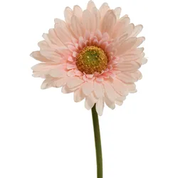 Kunstblume GERBERA