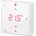 Aufputzraumthermostat 24V mit LED-Display