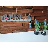 ICEBORN Schriftzug Berlin (Schlüsselbrett)