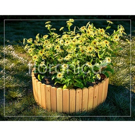 Floranica Rollborder Flexibler Holzzaun Rolborder - 200 x 10 cm - Natur - Beeteinfassung Rasenkante Deko/Gartenzaun für Obstgärten Wege