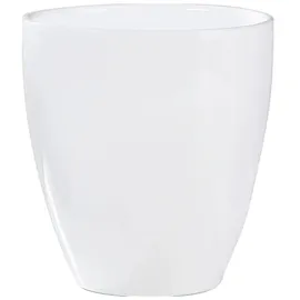 Scheurich Orchideentopf Serie 620 Ø 13 x 15 cm Weiß