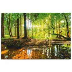 Wandbild ARTLAND "Wald mit Bach", grün (farbe bild(er): grün), B:90cm H:60cm, Bilder, als Alubild, Outdoorbild, Leinwandbild, Poster, Wandaufkleber