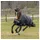 Bucas Anniversary Turnout Medium SD 150g 140 cm Schwarz/Silber