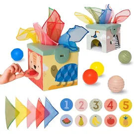 TAF TOYS Magic Box mehrfarbig