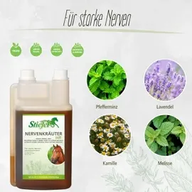 Stiefel Nervenkräutersaft 1 l