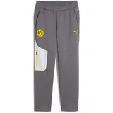 Puma BVB Borussia Dortmund Pumatech Jogginghose Herren 21 - cool dark gray/faster yellow M