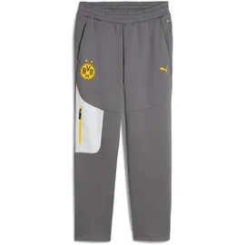 Puma BVB Borussia Dortmund Pumatech Jogginghose Herren 21 - cool dark gray/faster yellow M