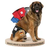 NATURE PET Premium Läufigkeitshose für Hündinnen – Hochwertige & Bequeme Hundewindeln für Hündinnen & Rüden – Waschbare Inkontinenz-Hundewindel ohne Einfädeln der Rute – XL/Netz