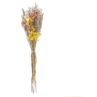 Trockenblumenstrauß CARTAYA 65 cm Naturfarben