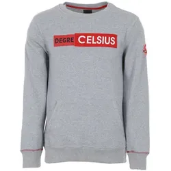 Degré Celsius  Sweatshirt Sweat homme COLAK  in Grau, EU M