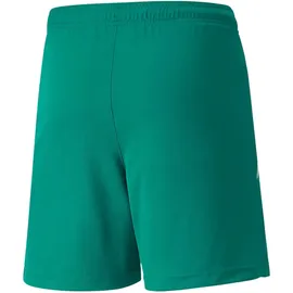 Puma teamLIGA Shorts Jr