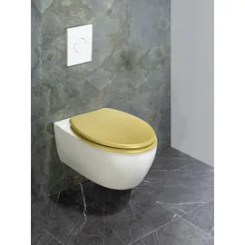 Wenko Aldeno Gold
