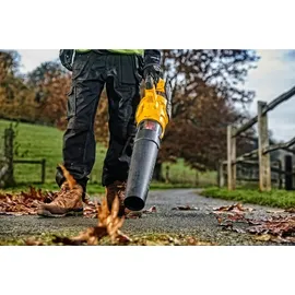 DeWalt DCMBA572N-XJ ohne Akku