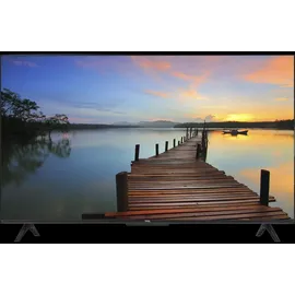 TCL 55V6C 55 Zoll LED 4K HDR Google TV