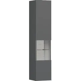 OTTO home Glasvitrine Onyx 30 x 27 x 140 cm Grau