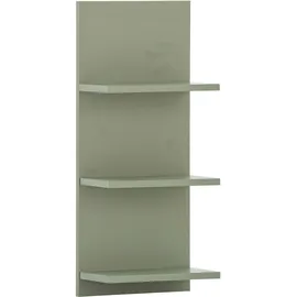 WELLTIME Wandregal Palermo 30,3 x 17,4 x 70,2 cm Grün