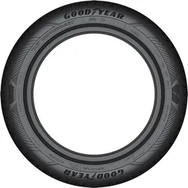 Goodyear EfficientGrip Performance 2 195/65 R15 91V