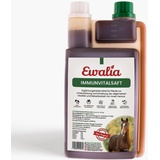 Ewalia Immunvitalsaft 1L