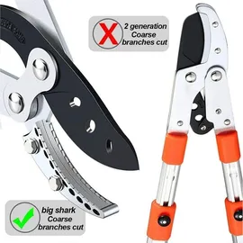 luxuskollektion Astschere SK-5