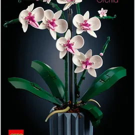 LEGO Botanicals Orchidee 10311