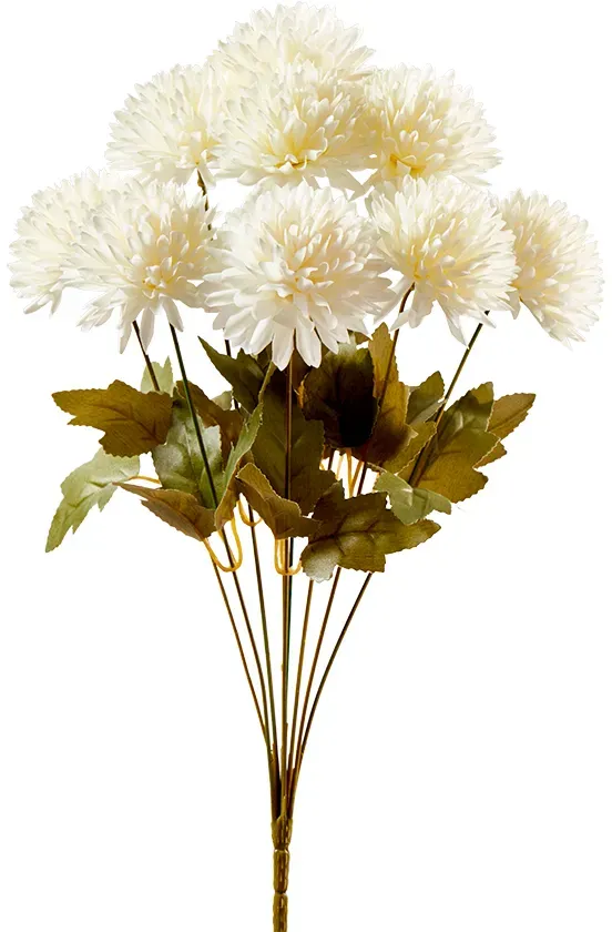Dahlienbündel x9 50cm weiß