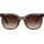 Brendel Eyewear Sonnenbrille BRENDEL EYEWEAR, transparent (braun transparent), leicht transparent, Sonnenbrillen Sonnenbrille, Schmetterlingsform, Vollrand, Verlaufstönung, taupefarbener Rahmen