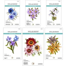 Spellbinders Susan Tierney-Cockburn Stanzschablone "Through The Meadow"