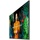 Samsung QB43C 43"