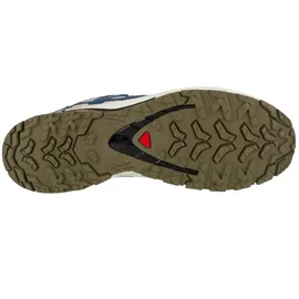 Salomon XA Pro 3D V9 GTX Herren Dark Blue/Icicle/Aloe 46