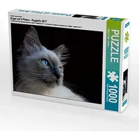 Calvendo Ein Motiv aus dem Kalender Engel auf 4