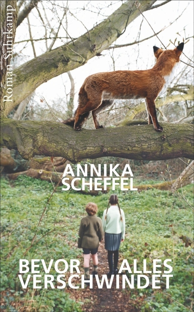 Bevor Alles Verschwindet - Annika Scheffel  Taschenbuch