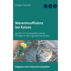 Niereninsuffizienz bei Katzen