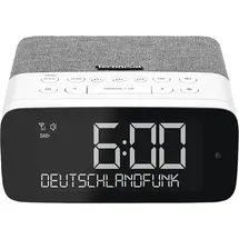 TechniSat DIGITRADIO 52 ASA Grau/Weiß
