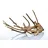 Aquadeco Aquariendeko Talawa Holz 30-45 cm