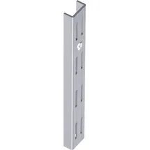 diy element-system gmbh DIY, Wandschiene 10001 zweireihig,L 1.000mm grau, weißaluminium