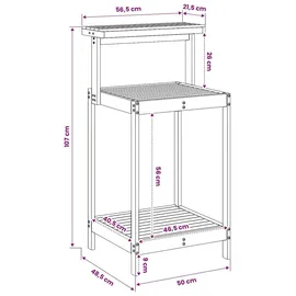 vidaXL Umtopfbank 56,5 x 48,5 x 107 cm Pflanztisch